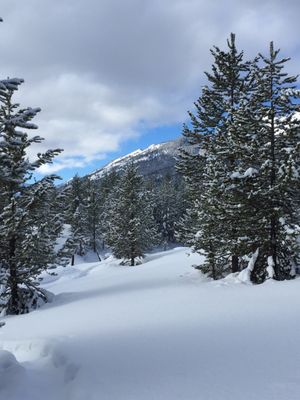 The Hole Hiking Experience by null