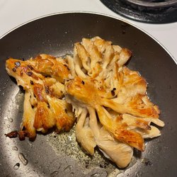 Hells Canyon Mycology