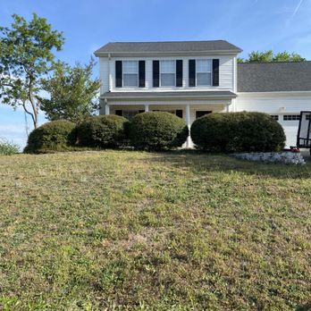 Goldman’s Stump Grinding - Before box tree removals including stump removals. - Tree Services Near Me - Taylors, South Carolina Goldman’s Stump Grinding - Before box tree removals including stump removals. - Tree Services Near Me - Taylors, South Carolina