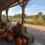 Photo of Kinsey Family Farm