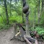 Photo of Silvio O Conte National Wildlife Refuge