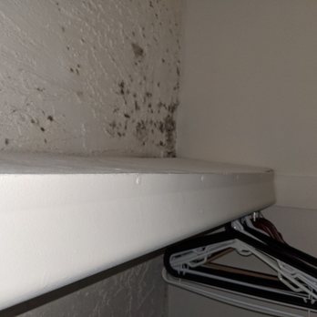 Cabana at The Pointe - More...and more ....MOLD...!!! - Apartments Near Me - Phoenix, Arizona