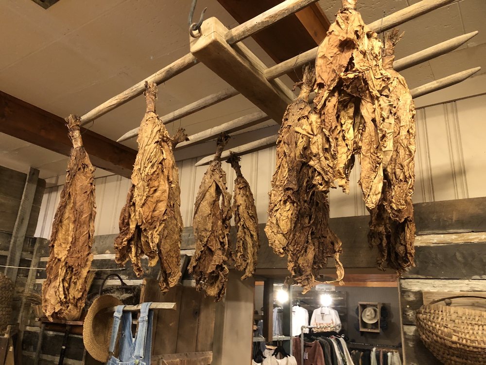 TREASURE POTTS ANTIQUE & GARDEN SHOPPES Updated September 2024 26