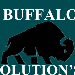 Buffalo Solutions