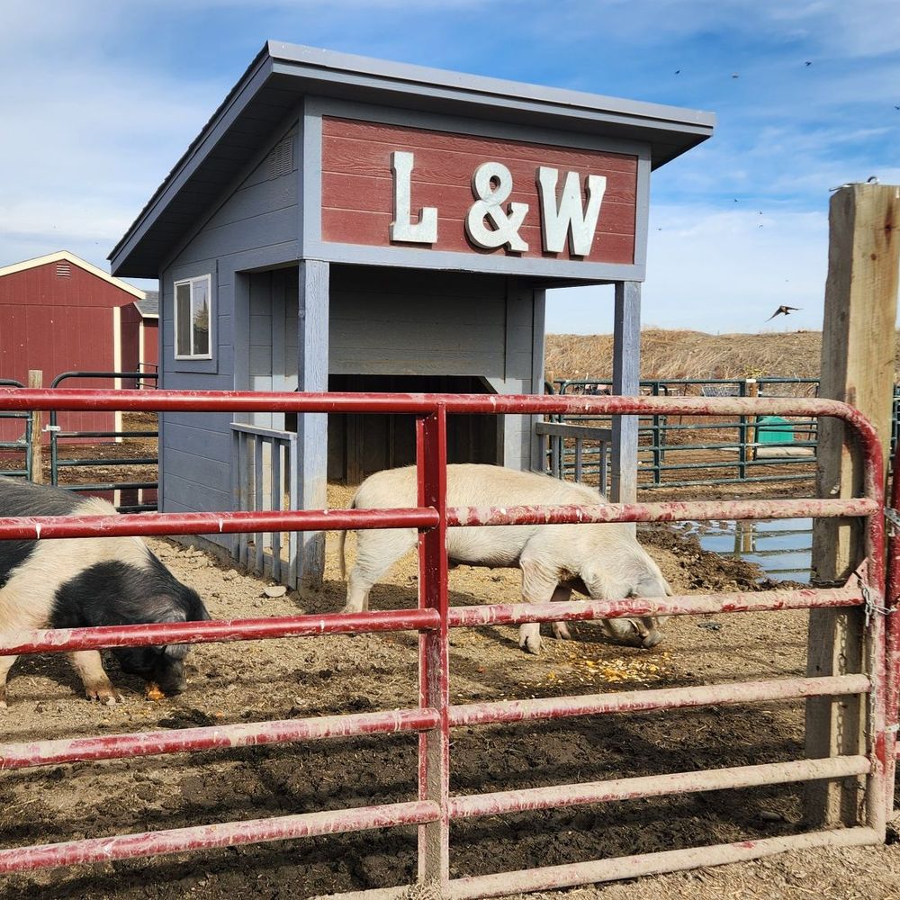 Broken Shovels Farm Sanctuary - Love & Wooley both rescues and compatible together - Farms Near Me - Henderson, Colorado Broken Shovels Farm Sanctuary - Love & Wooley both rescues and compatible together - Farms Near Me - Henderson, Colorado