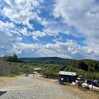 Sky Top Orchard - Pick Your Own Farms Near Me - Zirconia, North Carolina