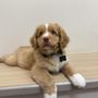 Mill Creek Animal Clinic