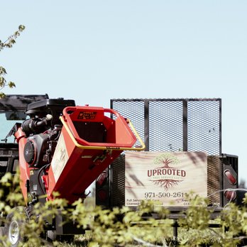 Uprooted Tree Service - Tree Services Near Me - Oregon City, Oregon Uprooted Tree Service - Tree Services Near Me - Oregon City, Oregon