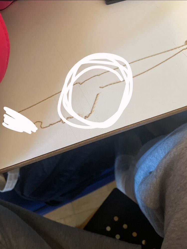 FREEMAN JEWELERS Updated September 2024 105 Palmer Park Mall