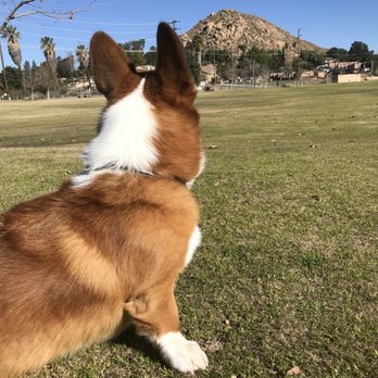 Ryan Bonaminio Park - Parks Near Me - Riverside, California