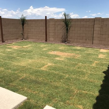 Lambert Landscape - New sod - Landscaping Near Me - Queen Creek, Arizona Lambert Landscape - New sod - Landscaping Near Me - Queen Creek, Arizona
