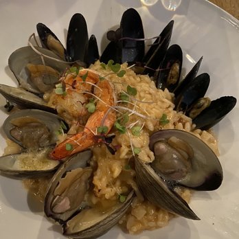 South Bay - Seafood Risotto - Mediterranean Near Me - New Haven, Connecticut South Bay - Seafood Risotto - Mediterranean Near Me - New Haven, Connecticut