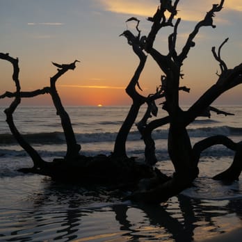 Driftwood Beach - Sunrise - Beaches Near Me - Jekyll Island, Georgia