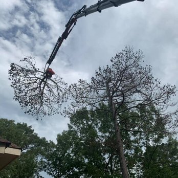 All About Trees - We reach places most can't! - Tree Services Near Me - Waskom, Louisiana