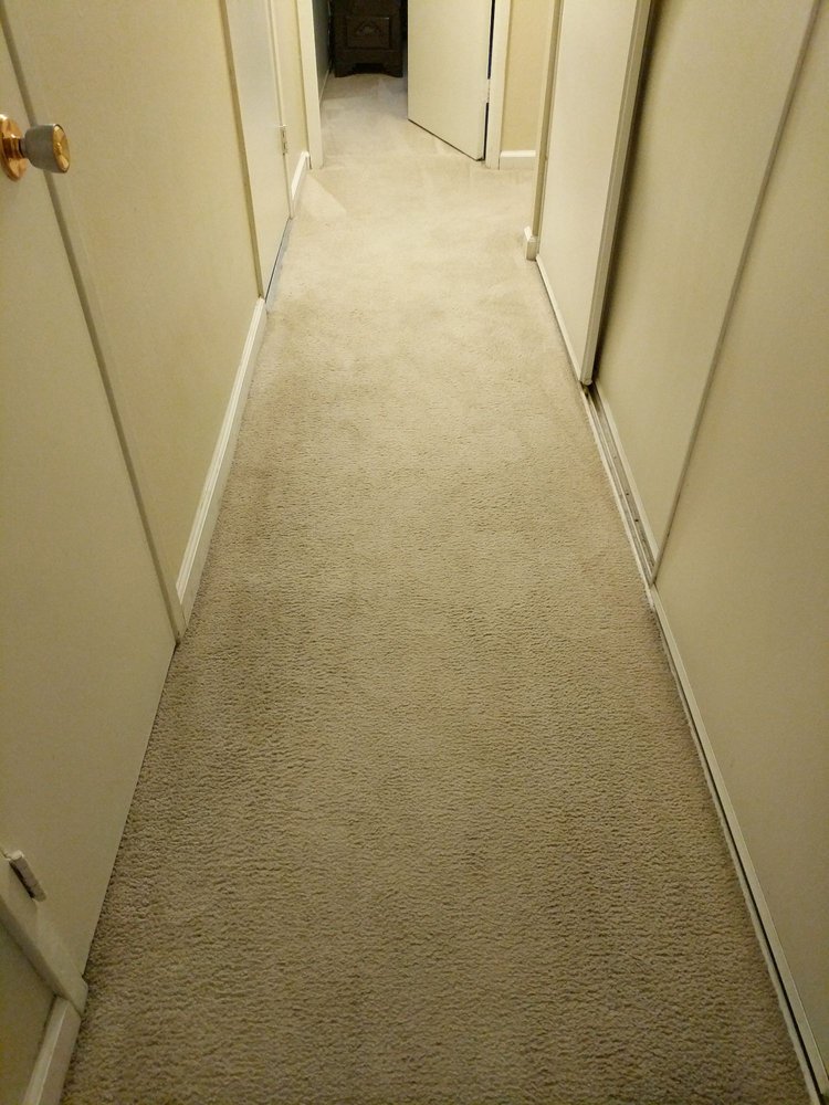 DOCTOR CLEAN Updated August 2024 16 Reviews 1785 Day Valley Rd