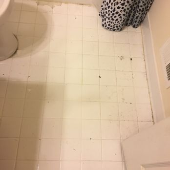 Simba Carpet Cleaning Services - Before - Home Cleaning Near Me - Dumfries, Virginia