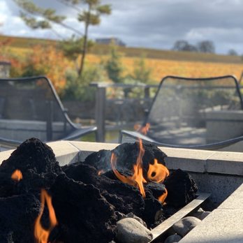 Saffron Fields Vineyard - Wineries Near Me - Yamhill, Oregon
