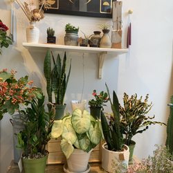 Cool plants too!