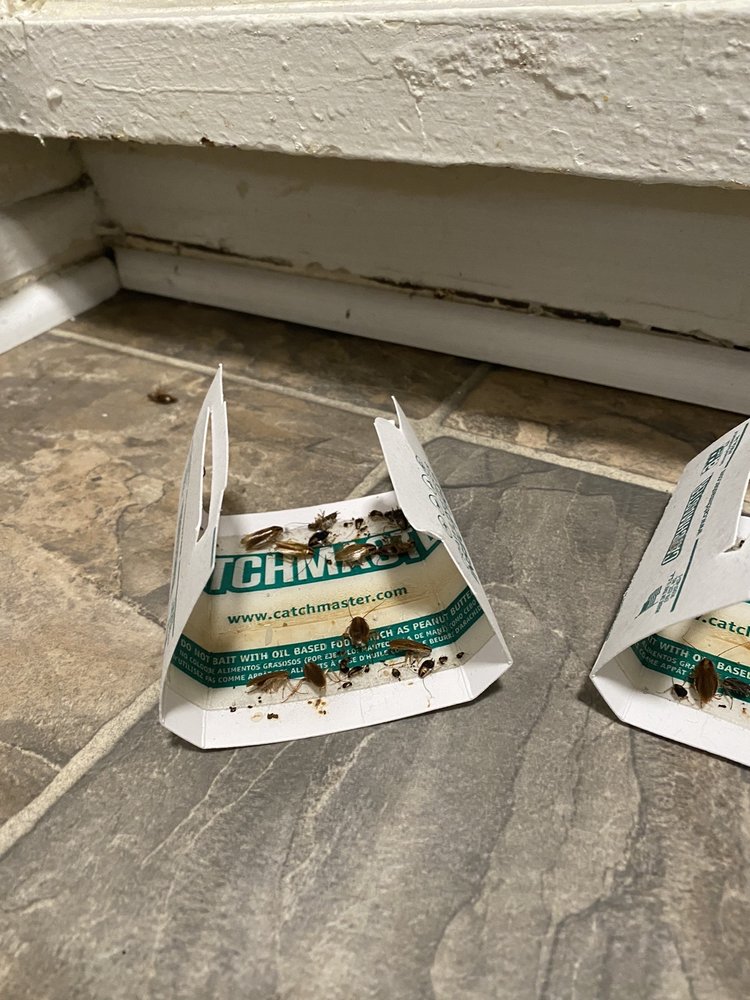 GENTRY REAL ESTATE GROUP Updated August 2024 41 Reviews 5330 N Figueroa St, Los Angeles