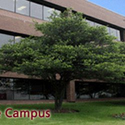 Robert Morris University - Bensenville