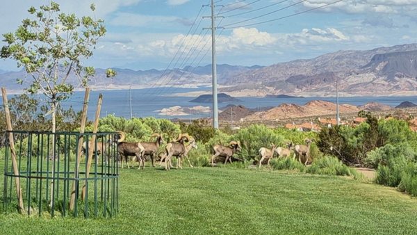 Hemenway Park by null