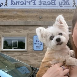 My Best Friend Groom & Board - After haircut