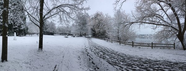 Green Lake Park by null