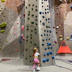 Vertical Rock Climbing & Fitness Center