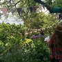 Photo of Kelmarna Organic Gardens