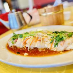 Royal Cuisine - Steamed fish on tofu. Worth the trip!