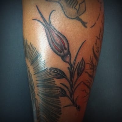 Bob Robert's Spotlight Tattoo by null