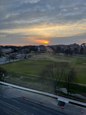 The Hotel at The University of Maryland by null