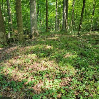 Highbanks Metro Park - Earthwork - Parks Near Me - Lewis Center, Ohio Highbanks Metro Park - Earthwork - Parks Near Me - Lewis Center, Ohio