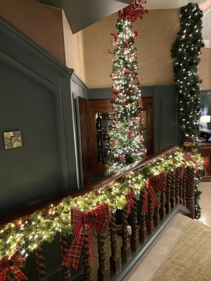 The Killarney Park by null