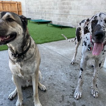 A Bark Idea - Pet Training Near Me - Redondo Beach, California A Bark Idea - Pet Training Near Me - Redondo Beach, California
