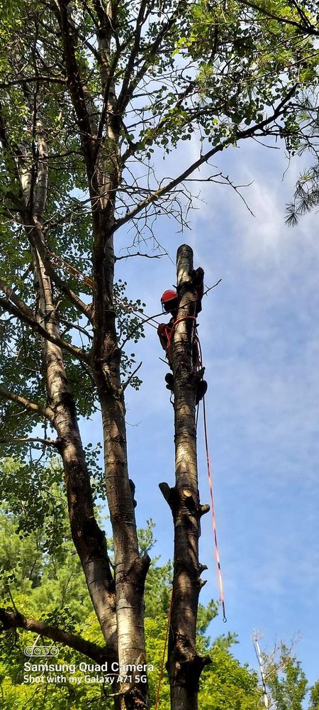 G3 Tree & Property Care - tree service in Swanton, VT