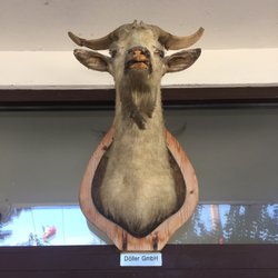 Einkehr zur wüden Goaß - Standesgemäss über den Eingang.