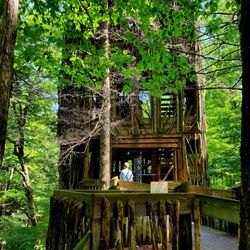Cayuga Nature Center - Tree house