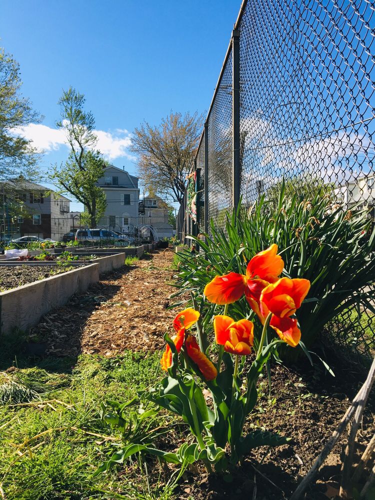 Pulaski Park