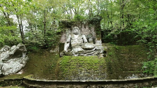 Sacro Bosco by null