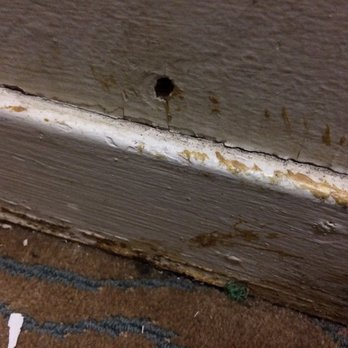 Clewiston Inn - Dirt and mold in closet. - Hotels Near Me - Clewiston, Florida