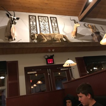 Harry's Stone Grill - So there is a large predator watching me eat. - Pasta Shops Near Me - Madison, Indiana