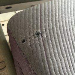 Purple - Valley Fair Mall - Holes upon delivery