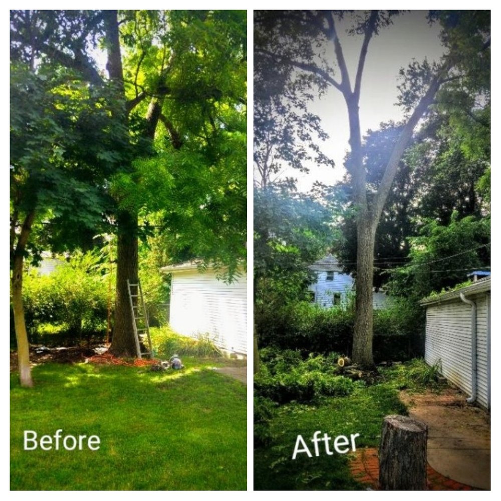 Rose's Tree Experts - tree service in Pewaukee, WI