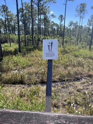 Tarkiln Bayou Preserve State Park by null