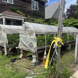 Kaler's Farm and Green Houses