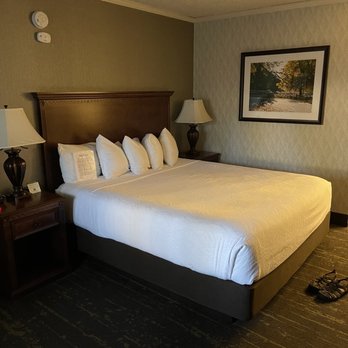 Best Western Plus Black Oak - King bed room - Hotels Near Me - Paso Robles, California Best Western Plus Black Oak - King bed room - Hotels Near Me - Paso Robles, California