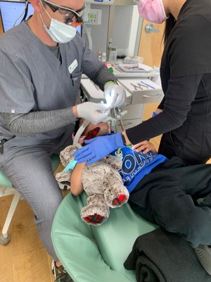 Sprout Pediatric Dentistry