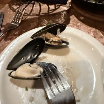 Street & Co. - Look how massive these muscles are - Seafood Near Me - Portland, Maine
