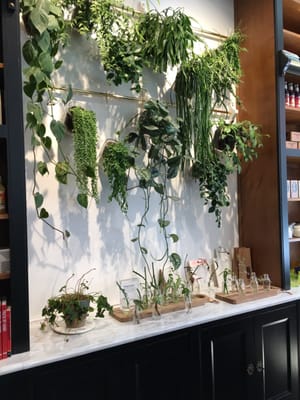 L'Appartement Sézane by null